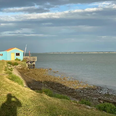 Les Amareyeurs - Ile D'oleron - Maison Classee 3 Etoiles Avec Piscine - Clim - Velos Le Chateau-d'Oleron