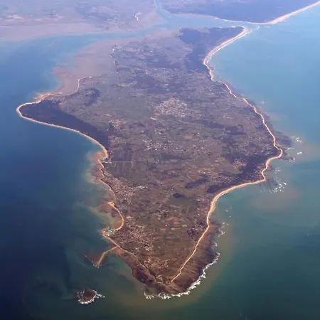 Les Amareyeurs - Ile D'oleron - Maison Classee 3 Etoiles Avec Piscine - Clim - Velos