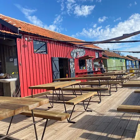 Les Amareyeurs - Ile D'oleron - Maison Classee 3 Etoiles Avec Piscine - Clim - Velos