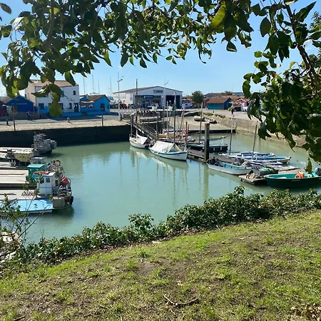 Les Amareyeurs - Ile D'oleron - Maison Classee 3 Etoiles Avec Piscine - Clim - Velos *