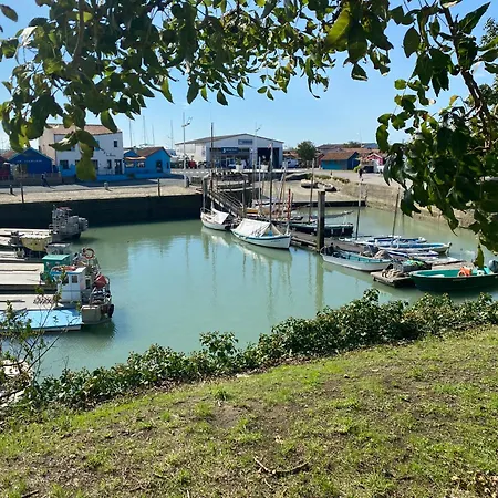 Les Amareyeurs - Ile D'oleron - Maison Classee 3 Etoiles Avec Piscine - Clim - Velos *