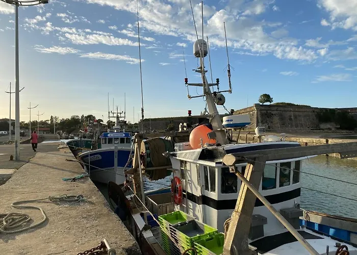 度假居 Les Amareyeurs - Ile D'oleron - Maison Classee 3 Etoiles Avec Piscine - Clim - Velos *
