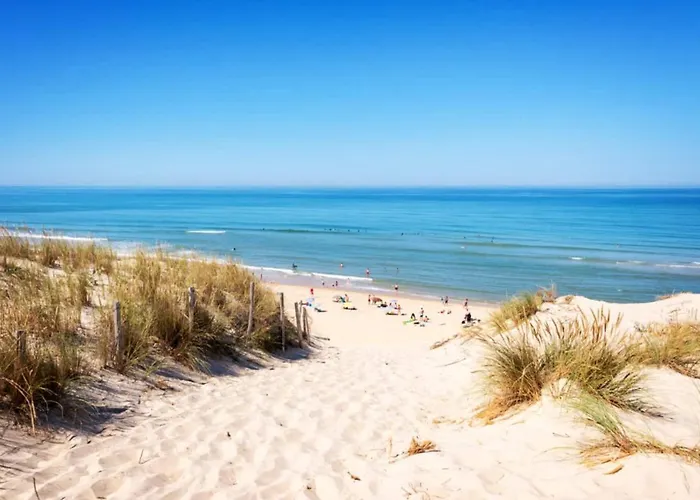 度假居 Les Amareyeurs - Ile D'oleron - Maison Classee 3 Etoiles Avec Piscine - Clim - Velos *