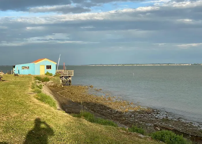 Les Amareyeurs - Ile D'oleron - Maison Classee 3 Etoiles Avec Piscine - Clim - Velos Le Château-dʼOléron