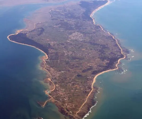 Les Amareyeurs - Ile D'oleron - Maison Classee 3 Etoiles Avec Piscine - Clim - Velos