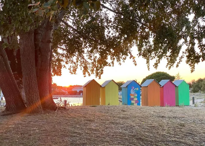 度假居 Les Amareyeurs - Ile D'oleron - Maison Classee 3 Etoiles Avec Piscine - Clim - Velos *
