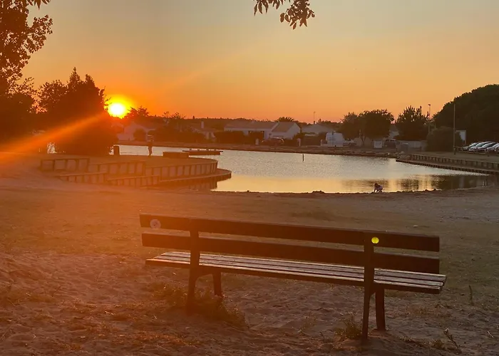度假居 Les Amareyeurs - Ile D'oleron - Maison Classee 3 Etoiles Avec Piscine - Clim - Velos *