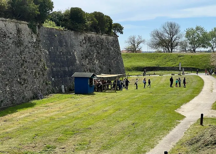 Les Amareyeurs - Ile D'oleron - Maison Classee 3 Etoiles Avec Piscine - Clim - Velos 度假居