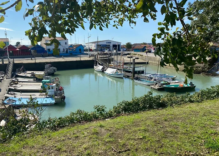 Les Amareyeurs - Ile D'oleron - Maison Classee 3 Etoiles Avec Piscine - Clim - Velos *